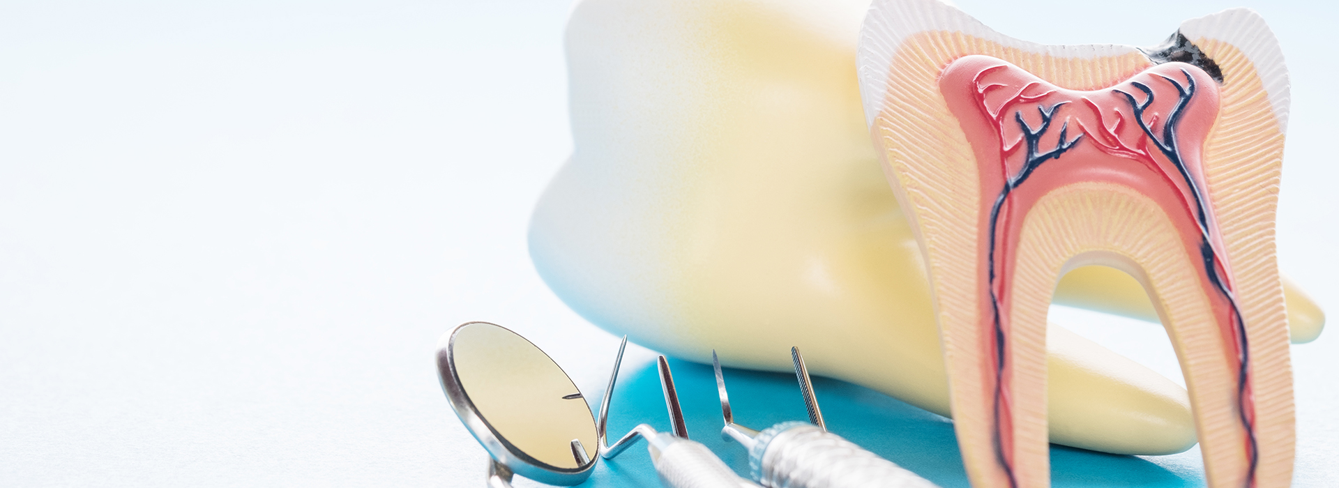 An image featuring a toothbrush with toothpaste and an illustration of a mouth model showing teeth and gums, placed against a blue background with a white border.